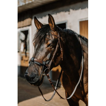 Protección nasal contra los rayos UV - Equithème - Rojo