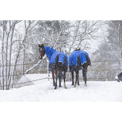 Manta para caballo Equi-Theme Tyrex 1200D Aisance High Neck Rug detalle 5