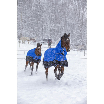 Manta para caballo Equi-Theme Tyrex 1200D Aisance High Neck Rug detalle 4