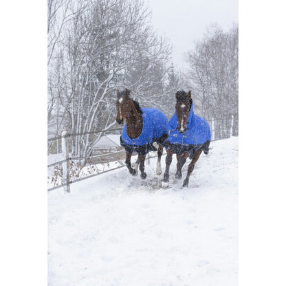 Manta para caballo Equi-Theme Tyrex 1200D Aisance High Neck Rug detalle 10