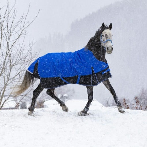 Manta para caballo Equi-Theme Tyrex 1200D Aisance High Neck Rug vista principal