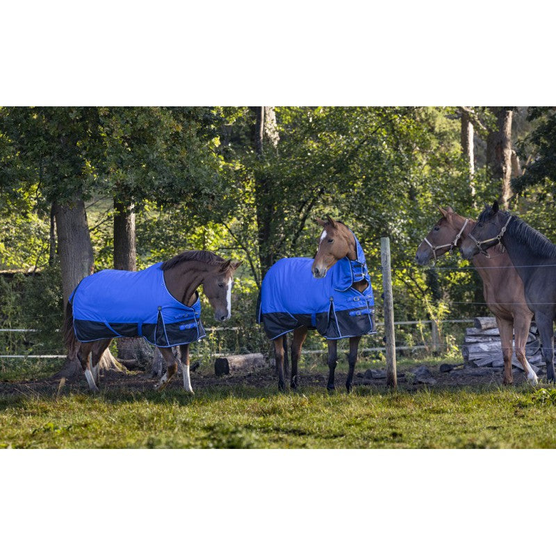 Manta para caballo Equi-Theme Tyrex 1200D Aisance Rug detalle 18