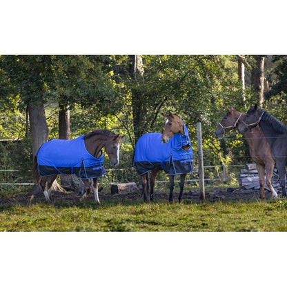 Manta para caballo Equi-Theme Tyrex 1200D Aisance Rug detalle 18