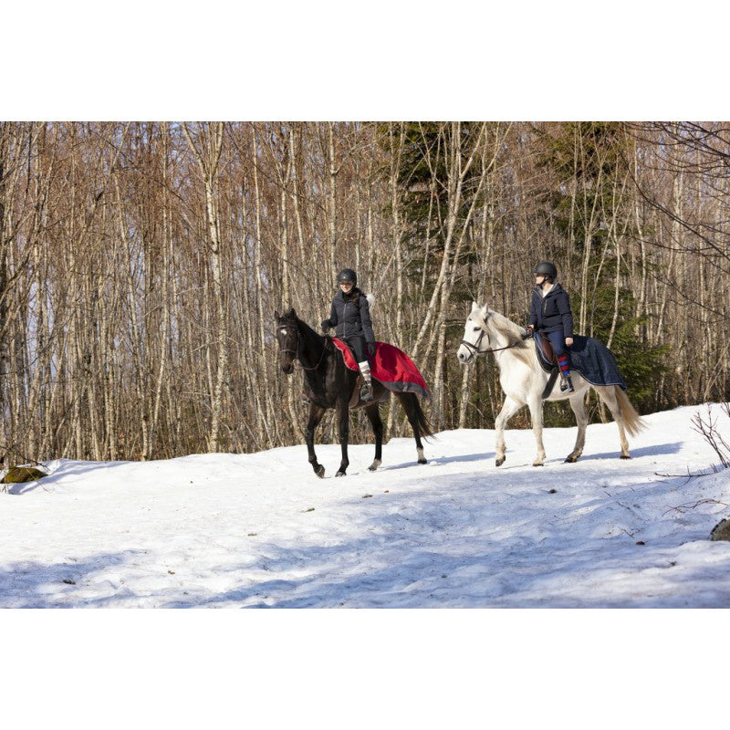 Manta para caballo Equi-Theme Tyrex 1200D Polar Fleece Lined Exercise Sheet detalle 5