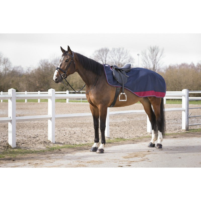 Manta para caballo Equi-Theme Tyrex 1200D Polar Fleece Lined Exercise Sheet detalle 3