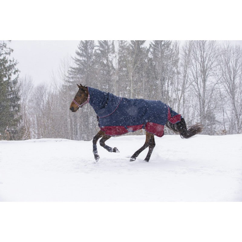 Manta para caballo Equi-Theme Tyrex 1200D Neck Cover detalle 11