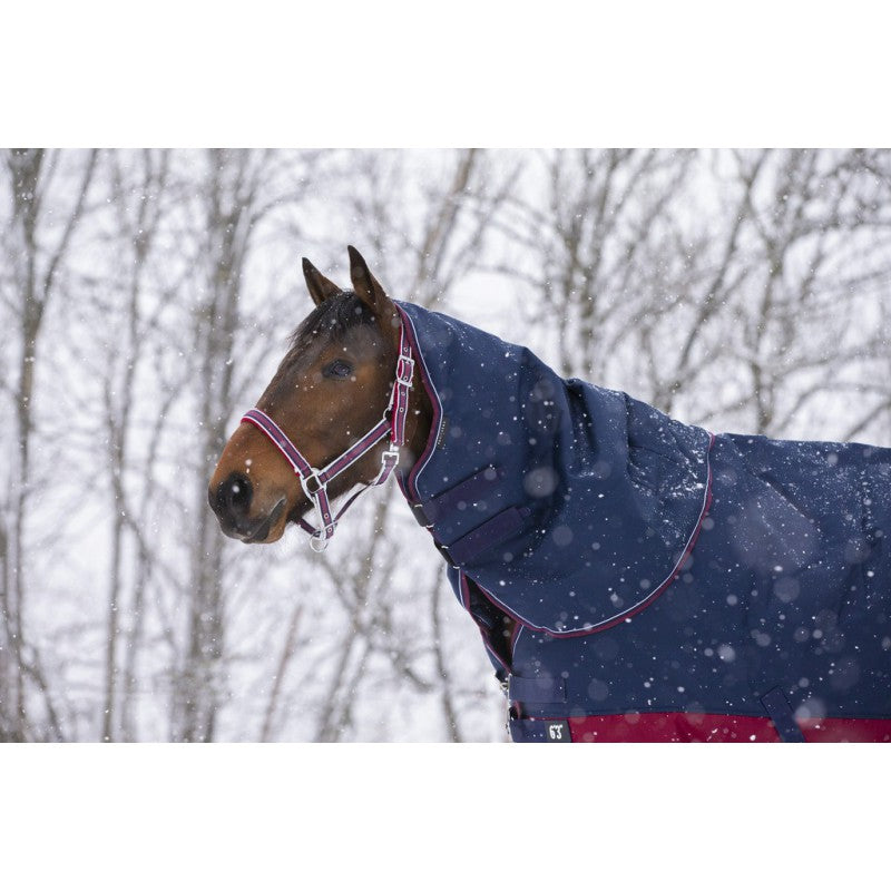 Manta para caballo Equi-Theme Tyrex 1200D Neck Cover detalle 10