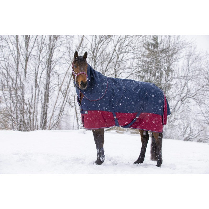Manta para caballo Equi-Theme Tyrex 1200D Neck Cover detalle 9