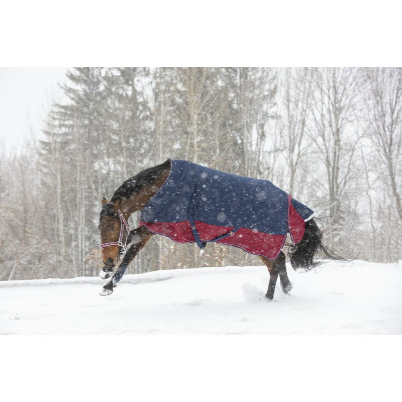 Manta para caballo Equi-Theme Tyrex 1200D Turnout Rug detalle 14