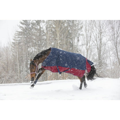 Manta para caballo Equi-Theme Tyrex 1200D Turnout Rug detalle 14