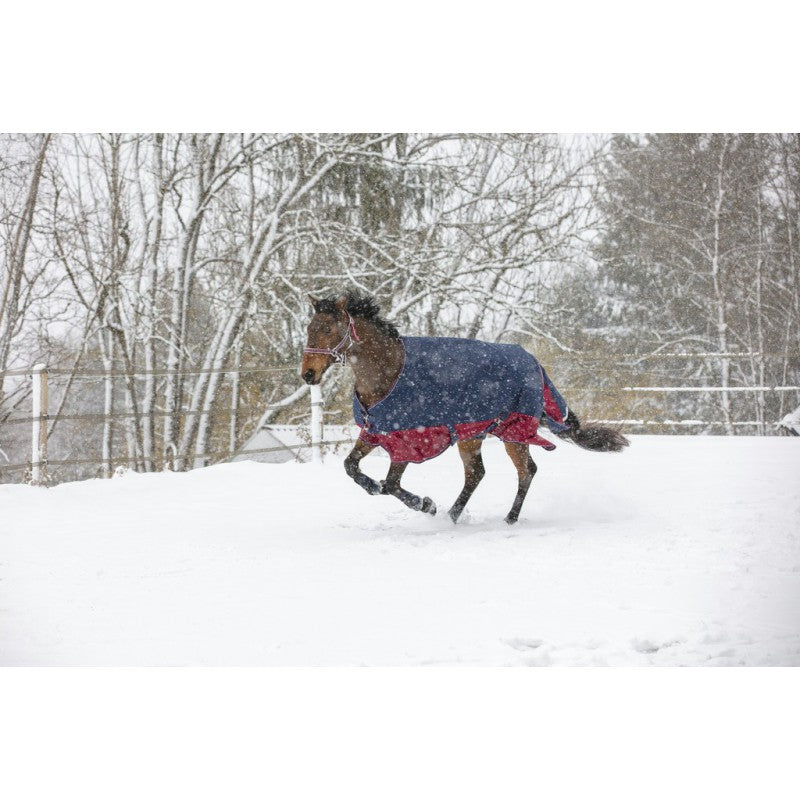 Manta para caballo Equi-Theme Tyrex 1200D Turnout Rug detalle 13