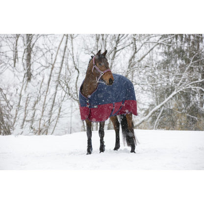 Manta para caballo Equi-Theme Tyrex 1200D Turnout Rug detalle 12