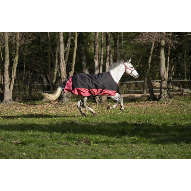 Manta para caballo Equi-Theme Tyrex 1200D Turnout Rug detalle 11