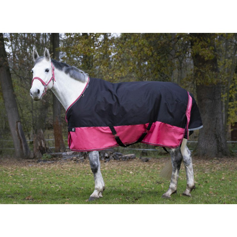 Manta para caballo Equi-Theme Tyrex 1200D Turnout Rug vista principal