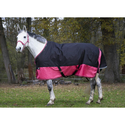 Manta para caballo Equi-Theme Tyrex 1200D Turnout Rug vista principal