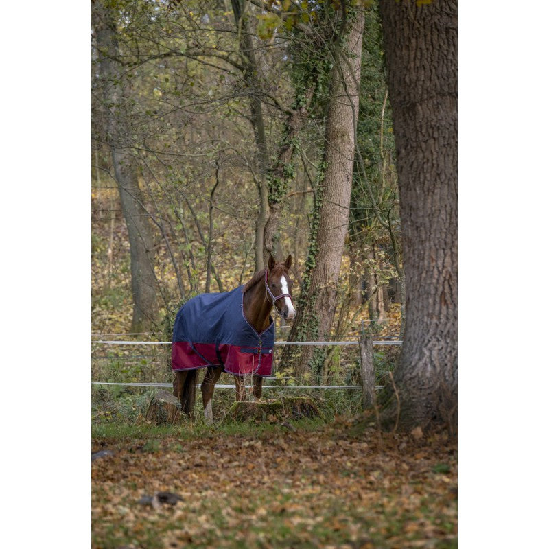 Manta para caballo Equi-Theme Tyrex 1200D Turnout Rug detalle 7