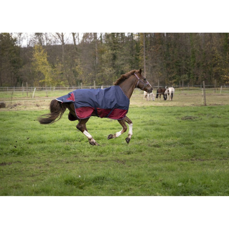 Manta para caballo Equi-Theme Tyrex 1200D Turnout Rug detalle 6
