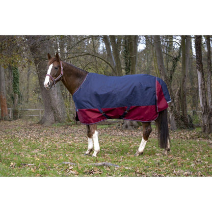 Manta para caballo Equi-Theme Tyrex 1200D Turnout Rug detalle 5