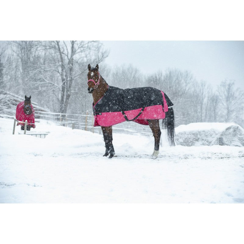 Manta para caballo Equi-Theme Tyrex 1200D Turnout Rug detalle 21