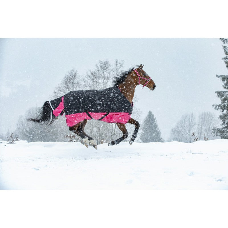Manta para caballo Equi-Theme Tyrex 1200D Turnout Rug detalle 20