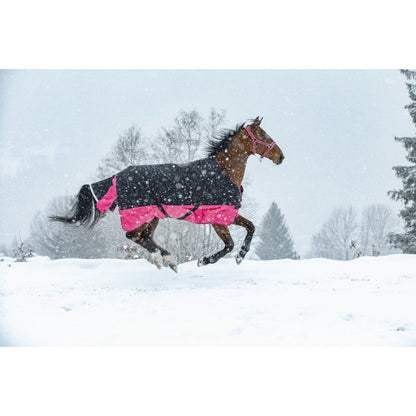 Manta para caballo Equi-Theme Tyrex 1200D Turnout Rug detalle 20