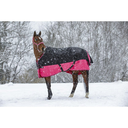 Manta para caballo Equi-Theme Tyrex 1200D Turnout Rug detalle 19