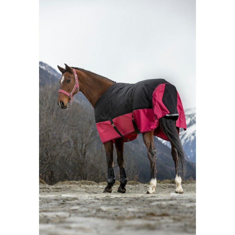 Manta para caballo Equi-Theme Tyrex 1200D Turnout Rug detalle 18