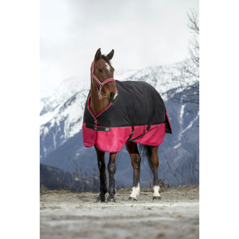 Manta para caballo Equi-Theme Tyrex 1200D Turnout Rug detalle 17