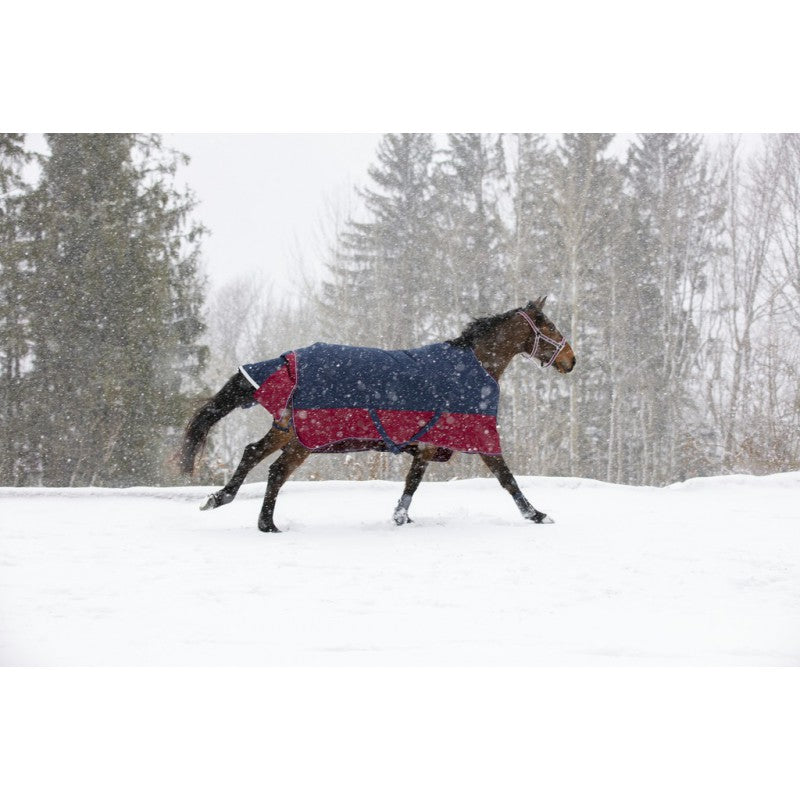 Manta para caballo Equi-Theme Tyrex 1200D Turnout Rug detalle 15