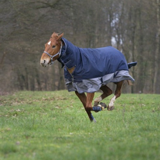 Manta para caballo Equi-Theme Tyrex 600D Combo Turnout manta para equitación - vista 4