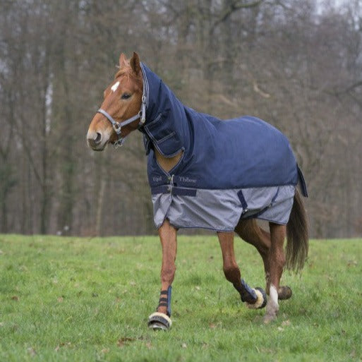 Manta para caballo Equi-Theme Tyrex 600D Combo Turnout manta para equitación - vista 3