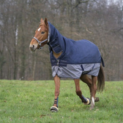 Manta para caballo Equi-Theme Tyrex 600D Combo Turnout manta para equitación - vista 3