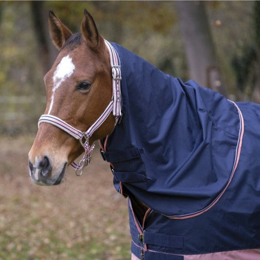 Manta para caballo Equi-Theme Tyrex 600D Neck Cover para equitación - vista 2