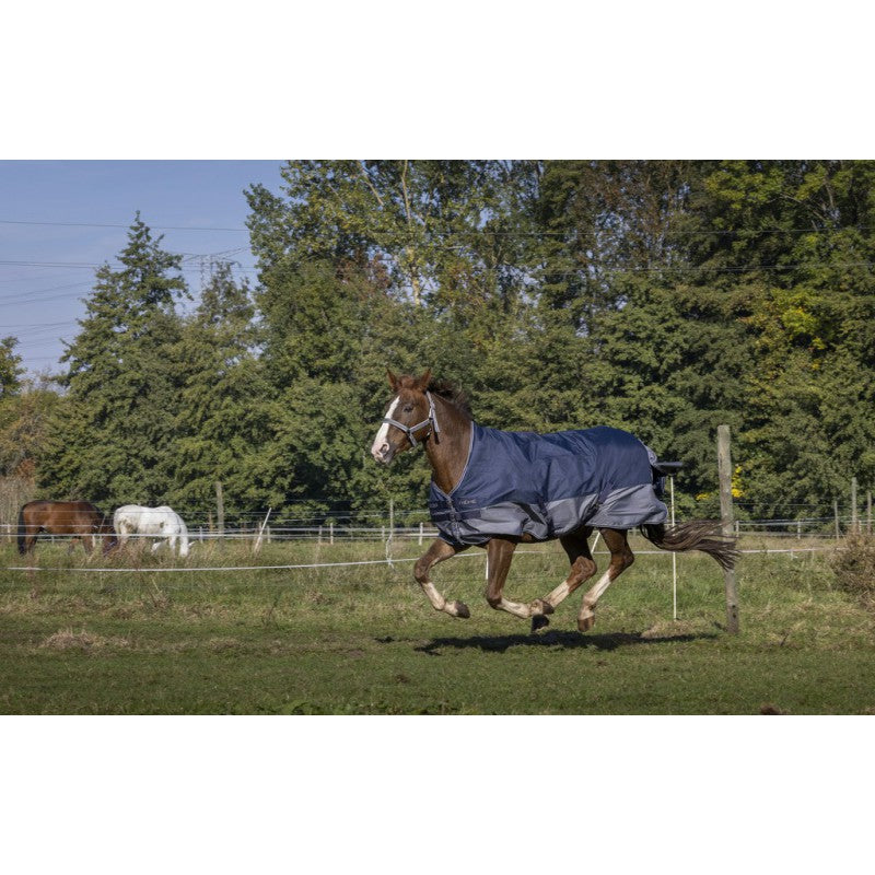 Manta para caballo Equi-Theme Tyrex 600D Turnout manta High Neck para equitación - vista 4