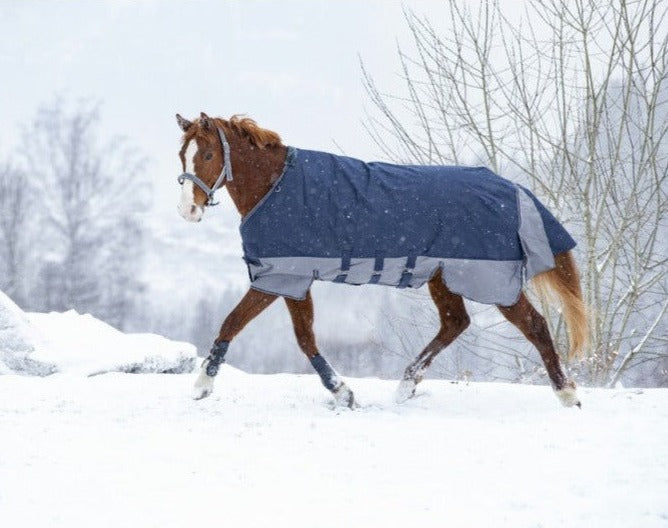 Manta para caballo Equi-Theme Tyrex 600D Turnout manta con Belly Belt para equitación - vista 2