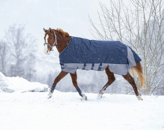 Manta para caballo Equi-Theme Tyrex 600D Turnout manta con Belly Belt para equitación - vista 2