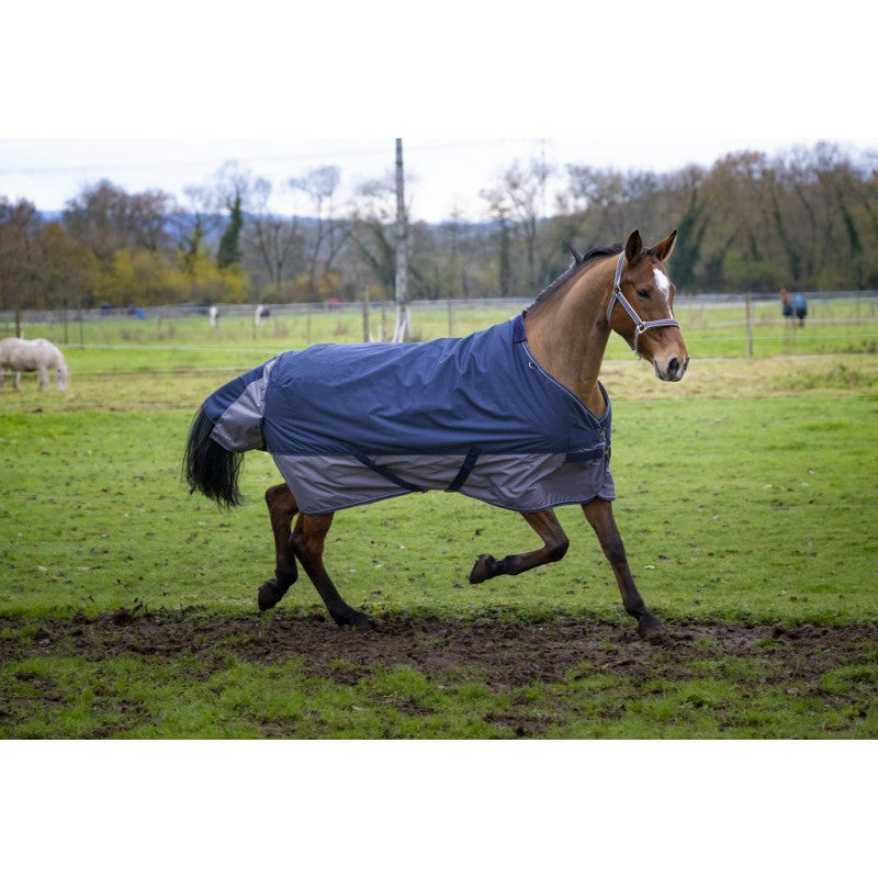 Manta para caballo Equi-Theme Tyrex 600D Turnout manta para equitación - vista 22