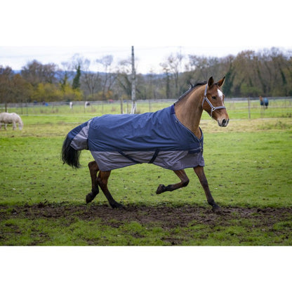 Manta para caballo Equi-Theme Tyrex 600D Turnout manta para equitación - vista 22