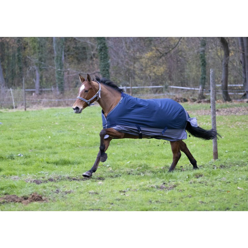 Manta para caballo Equi-Theme Tyrex 600D Turnout manta para equitación - vista 23