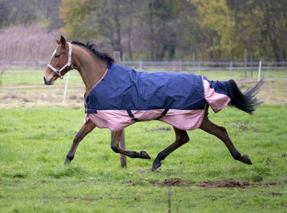 Manta para caballo Equi-Theme Tyrex 600D Turnout manta para equitación - vista 4