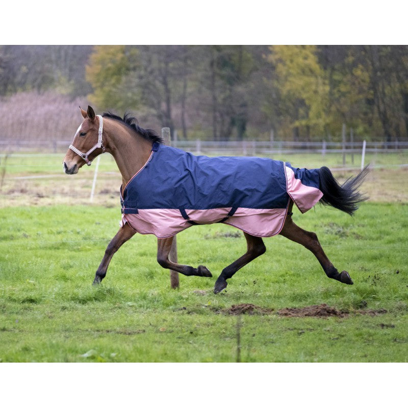 Manta para caballo Equi-Theme Tyrex 600D Turnout manta para equitación - vista 24