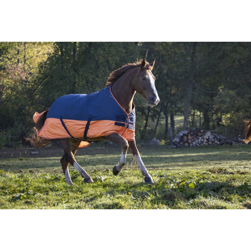Manta para caballo Equi-Theme Tyrex 600D Turnout manta para equitación - vista 12
