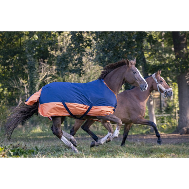 Manta para caballo Equi-Theme Tyrex 600D Turnout manta para equitación - vista 3