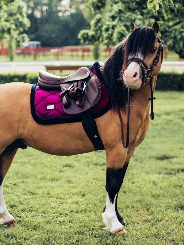 Jump Saddle Pad Equestrian Stockholm Jump Saddle Pad Faded Fuchsia detalle 2