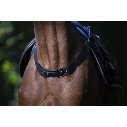 Accesorio ecuestre Falso peto elástico PRO - Eric Thomas para equitación - vista 3