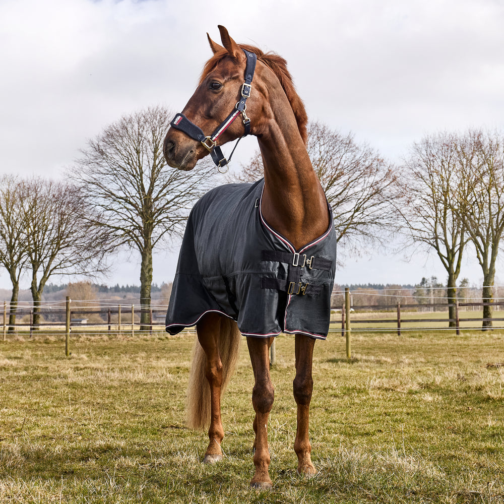Manta para caballo Kingsland Classic Primary Turnout Rug with Detachable detalle 4