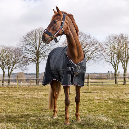 Manta para caballo Kingsland Classic Primary Turnout Rug with Detachable detalle 4