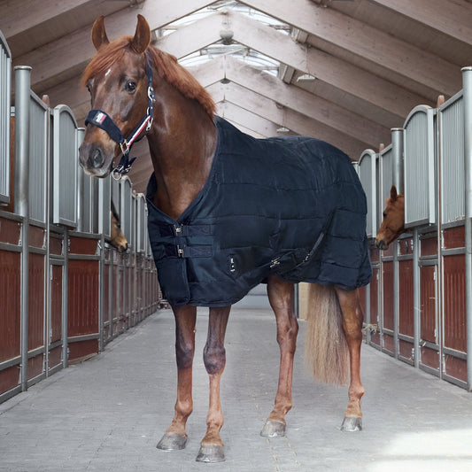 Manta para caballo Kingsland Classic Primary Stable manta, 400g para equitación - vista 2