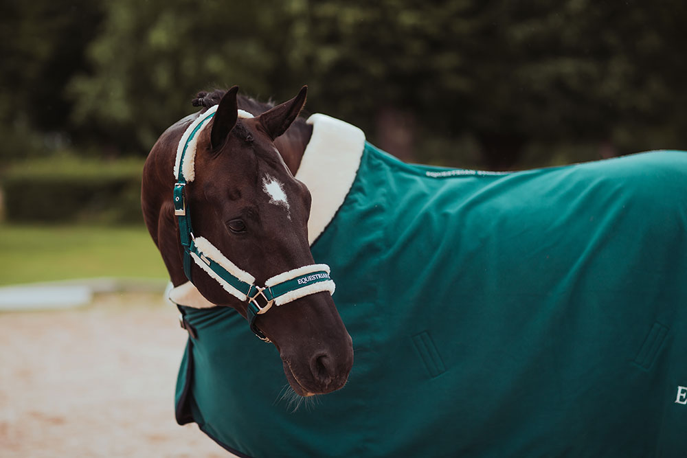 Manta para caballo Equestrian Stockholm Fleece Blanket Fur Emerald detalle 5