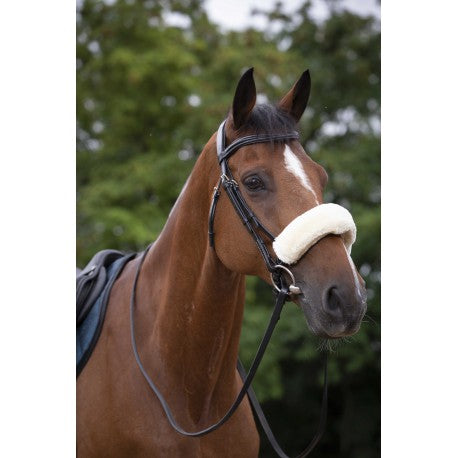 Accesorio ecuestre Funda muserola - Teddy - Equithème para equitación - vista 2